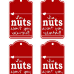 I m Nuts About You Free Printable Valentine Skip To My Lou